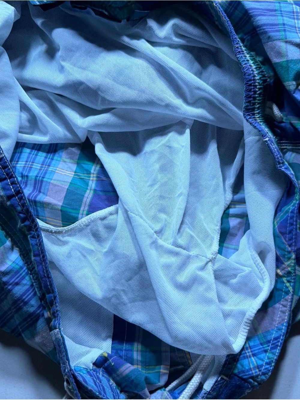 Polo by Ralph Lauren Blue and Green Plaid Swim Trunks